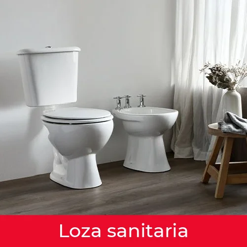 LOZA SANITARIA